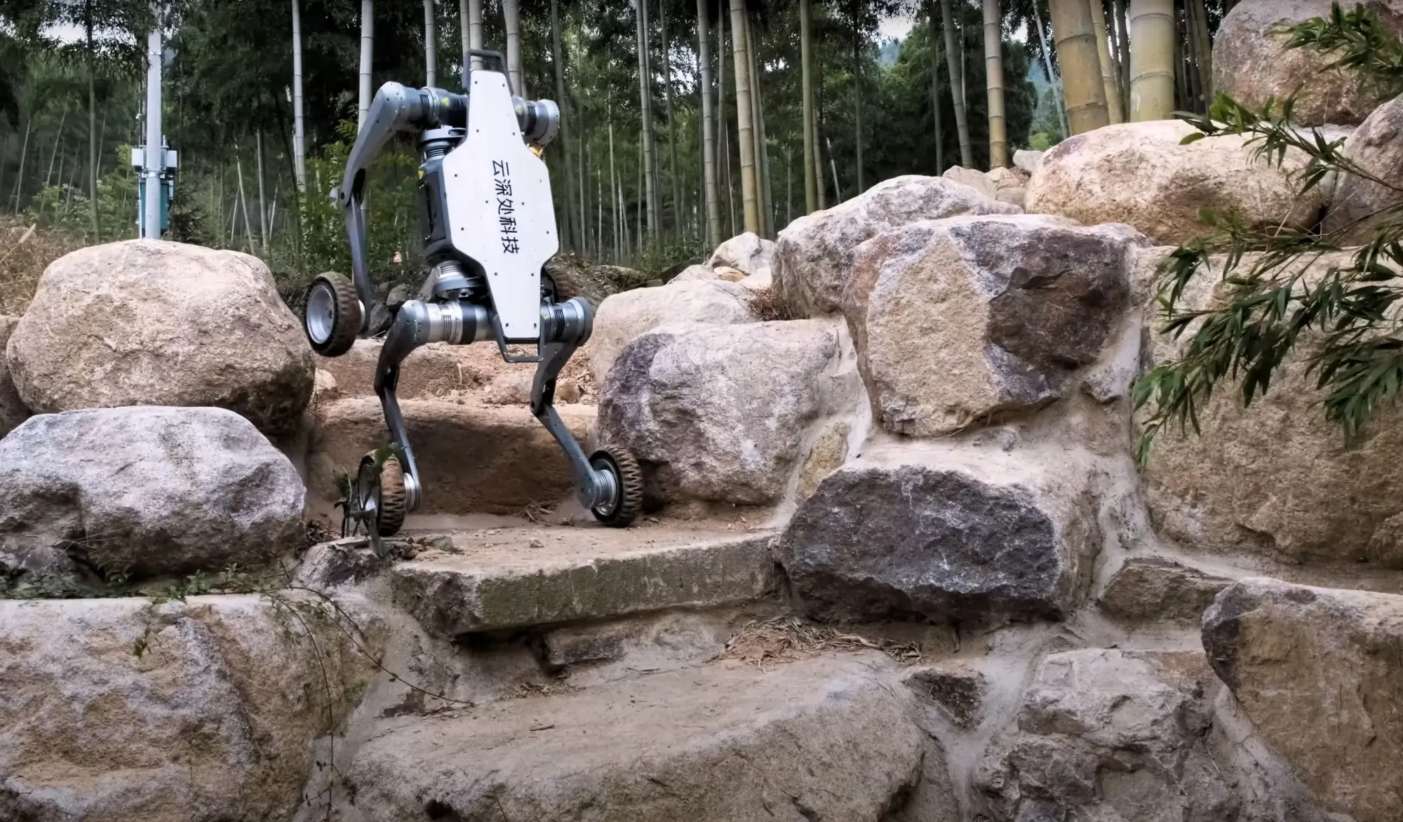 Meet Lynx: The All-Terrain Quadruped Redefining Robotics